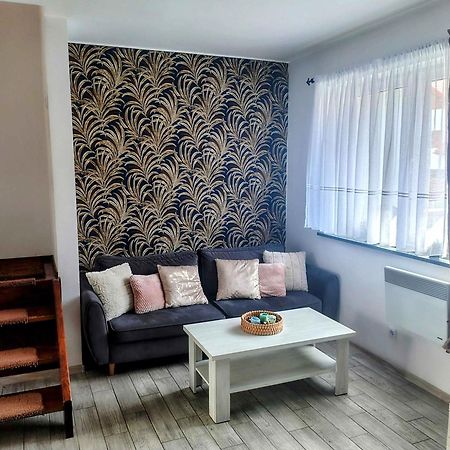Villa U Przyjaciol Zarnowska Esterno foto